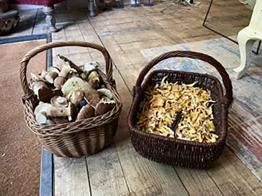 Mushrooms picked by Pierre & Cathie Basso Moro